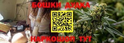 гидропоника Кингисепп