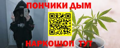 гидропоника Кингисепп