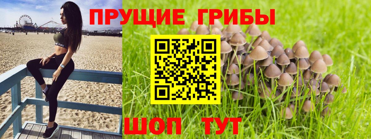 Галлюциногенные грибы GOLDEN TEACHER Щёлково