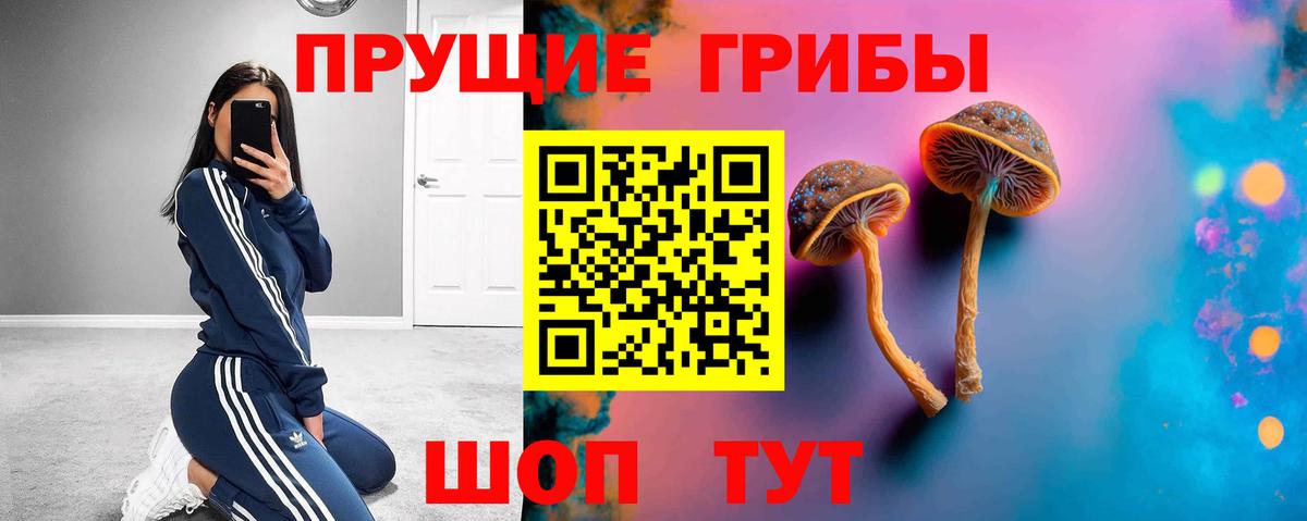 Галлюциногенные грибы GOLDEN TEACHER  Вход с VPN  Псилоцибиновые грибы GOLDEN TEACHER  Щёлково 